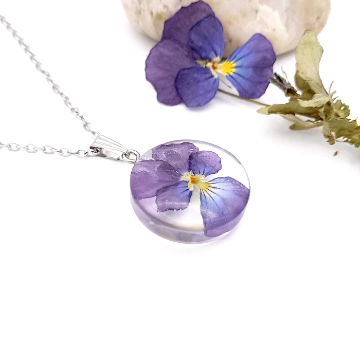 Viola