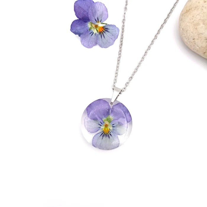 Viola 2